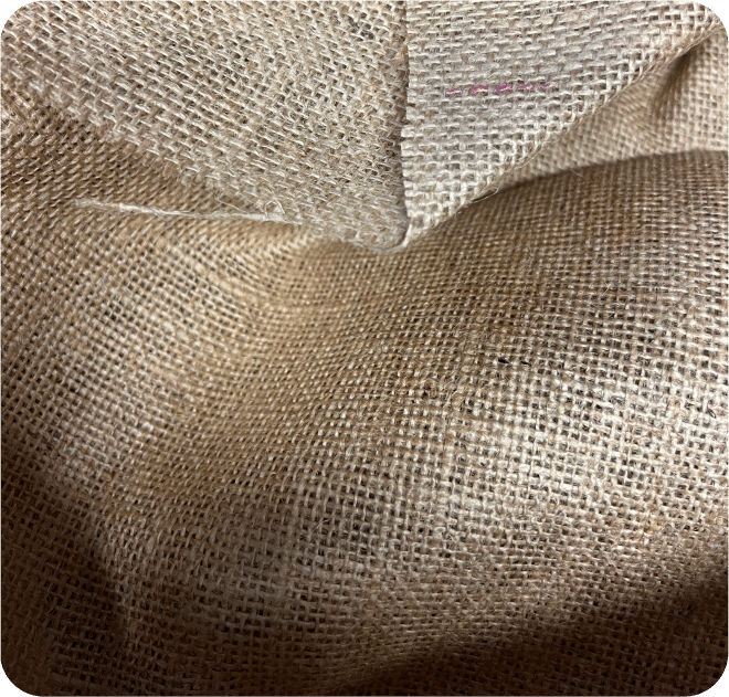 Jute