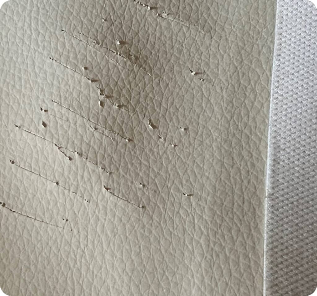 Close-up top view of a leatherette showing cat graft scratches.