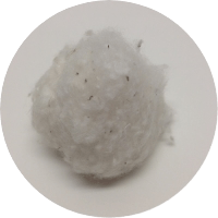 Cotton and Organic Cotton